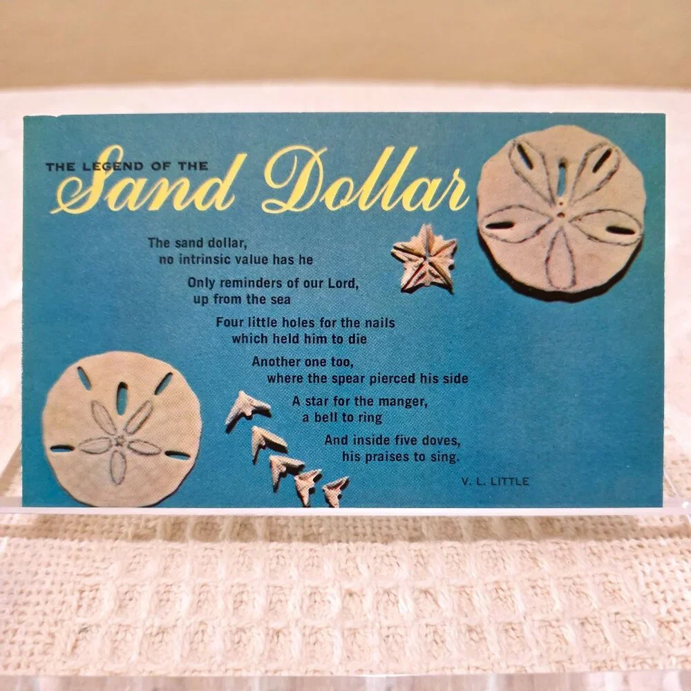 Vintage Legend of the Sand Dollar VL Little HS Crocker HSC-393 Postcard UNP